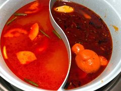 -青瓷火锅料理(西单大悦城店)