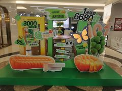 -红星美凯龙(北京北四环店)
