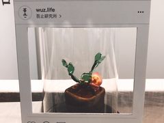 -无牌咖啡&酒馆