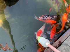 -台儿庄古城