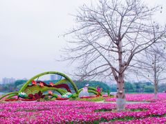 -海珠湖公园