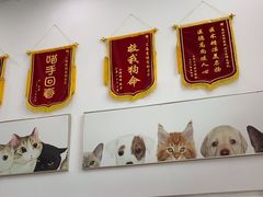 -爱侣宠医·鹦鹉专科·小型哺乳类·异宠专科(灵石路店)