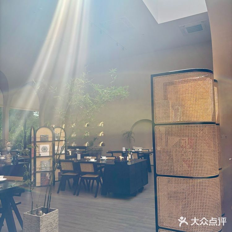 广州探店☕️好美这处天窗光影短期内无可替代