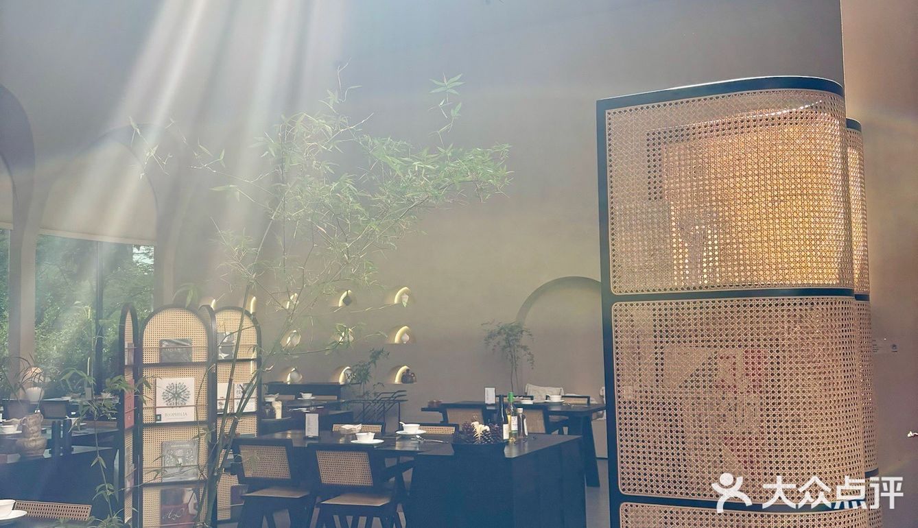 广州探店☕️好美这处天窗光影短期内无可替代