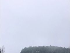 -武陵山森林公园