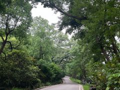 -南京市江宁方山