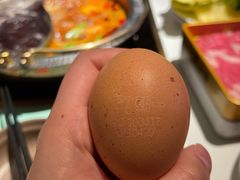 朝日鸡蛋-温禾牛·和牛寿喜烧自助火锅(恒基名人店)