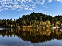 -五营红松林海景区