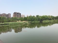 -前关湿地公园