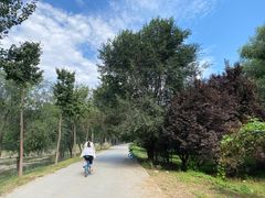-东坝千亩湖公园