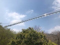 -木兰云雾山