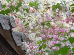 -深圳国际园林花卉博览园