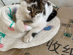 -御宝贝24h宠物医院·转诊中心·CT核磁血透中心(厦门总院)
