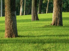 -重庆中央公园(渝北区)