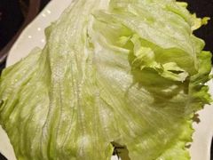 圆生菜-芦月轩羊蝎子(劲松店)