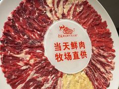 -手选潮汕鲜牛肉火锅(二七广场店)