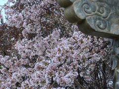 -香积寺
