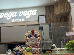 -VEGA VEGA 我行我素