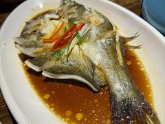 -锦上中式酒馆(南内环店)