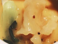 浓汤花胶-柳莺湖上·湖景餐厅·江南菜(西湖店)