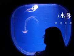 -杭州海底世界