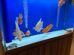 -宁海食府(大剧院店)