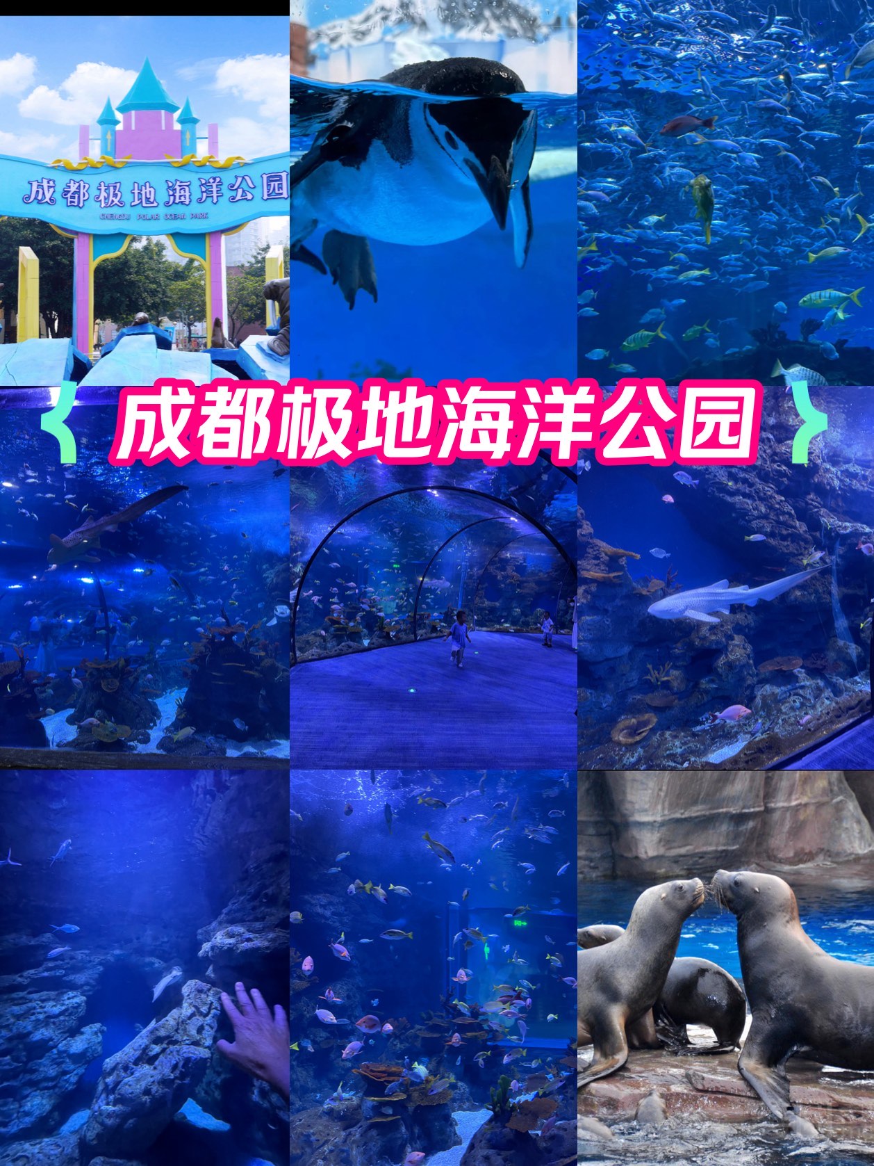 成都华阳海洋公园图片