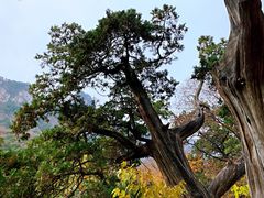 -北京上方山国家森林公园
