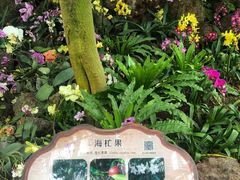 -南山植物园
