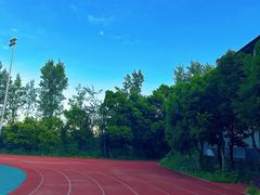 -铁山坪森林公园