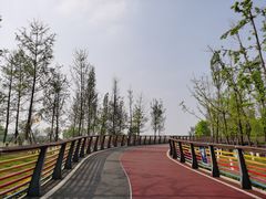 -府河摄影公园
