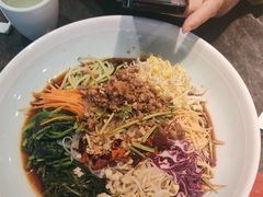 东北大拉皮-李记饺子·熏酱东北菜(欢乐谷店)
