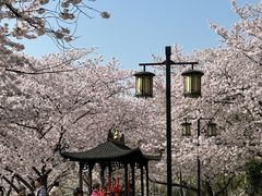 -苏州上方山国家森林公园