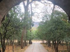 -灵谷景区