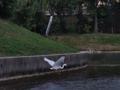 -菊园百果园