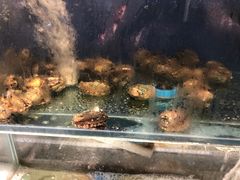 水产区-圣罗巴海鲜自助(黑金店)