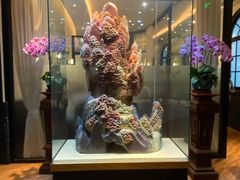 门面-醉辉皇上海之巅(上海中心大厦店)