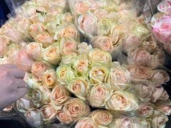 -循礼门鲜花花市(武汉循礼门店)