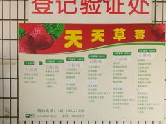 -青浦采草莓天天草莓园