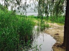 -长广溪湿地公园