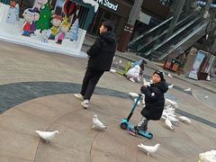 -中粮·祥云小镇