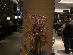 -茑屋书店(天目里店)