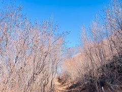 -灵山