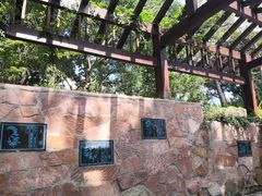 -上海市保健医疗中心