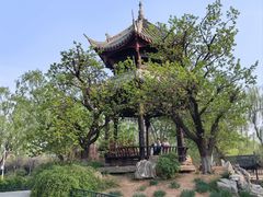 -石家庄市植物园