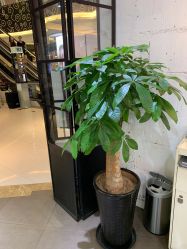 -Hair ART造型沙龙