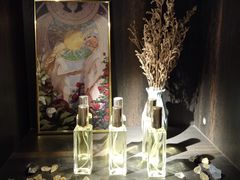 -雪灵魔法世界SHELLY’S TAROT(大良桂畔里店)