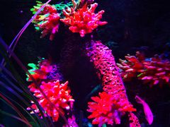 -沈阳海洋探索中心