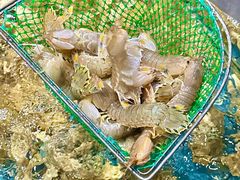 -好兄弟郭巨海鲜(天一阁店)