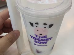-一只酸奶牛(八一路店)
